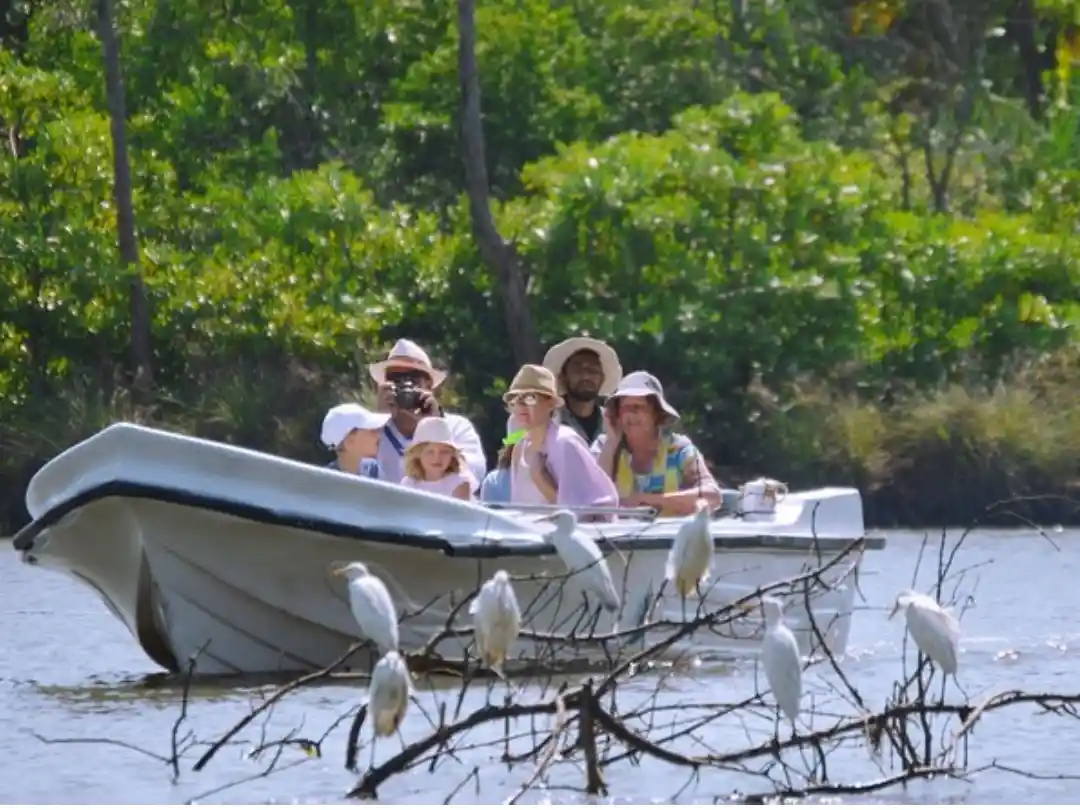 Birdwatching at Muthurajawela Marsh