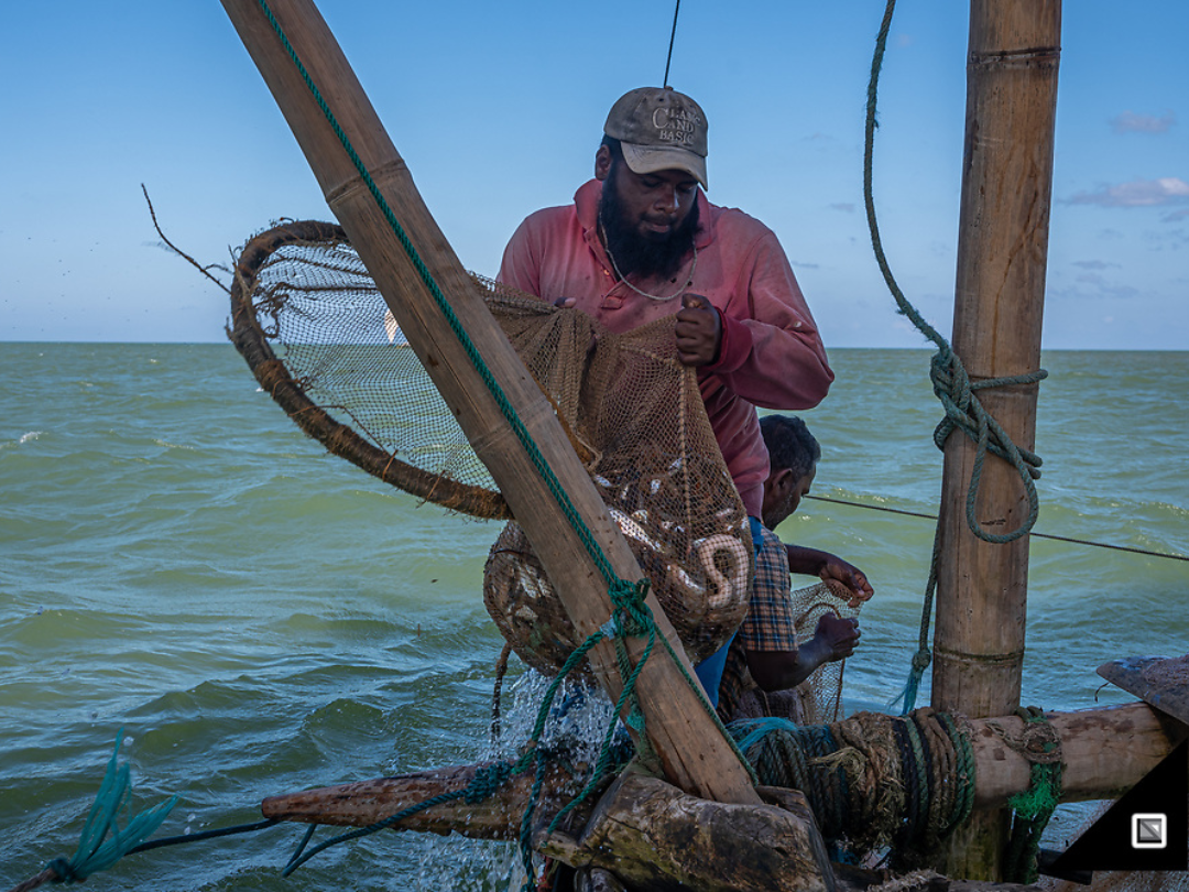 catamaran-shrimp-fishing-negombo-sri-lanka