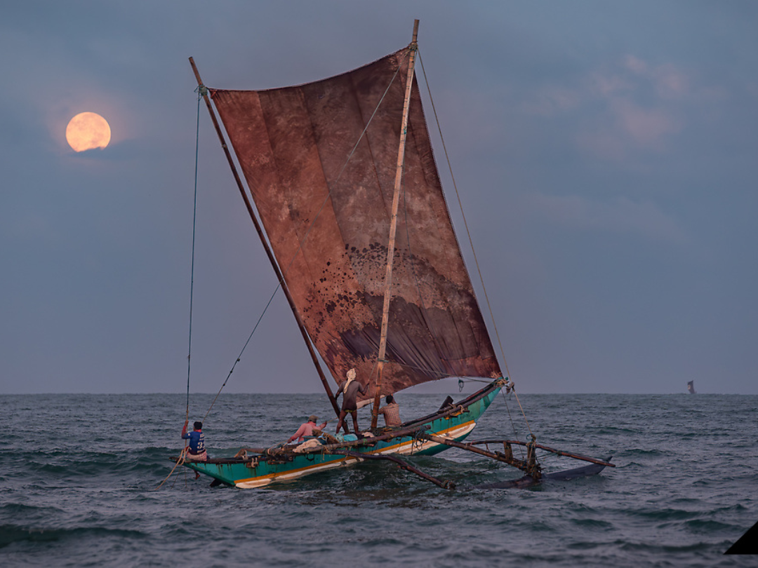 catamaran-shrimp-fishing-tradition-negombo-sri-lanka