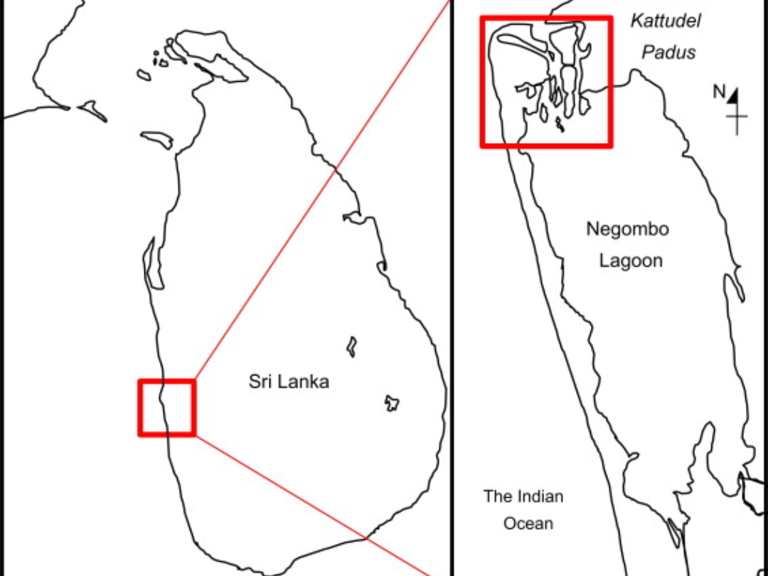 kattudel-fishery-societies-padu-system