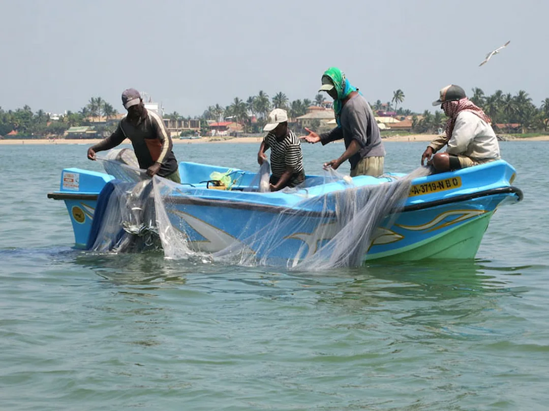 How the Padu System in Negombo Lagoon Is Saving Sri Lankan Fisheries